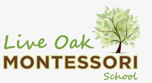 Live Oak Montessori School - Wyncote Foundation, HD Png Download, Transparent PNG