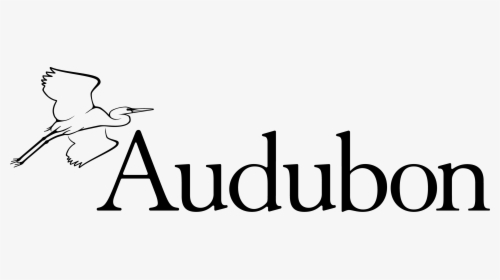 National Audubon Society Logo, HD Png Download, Transparent PNG