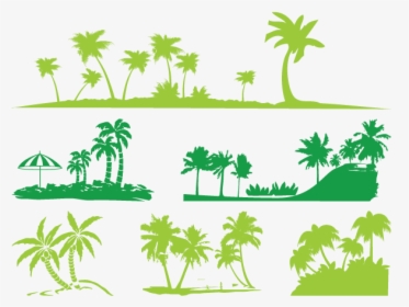 Silhouette Arecaceae Illustration - Vector, HD Png Download, Transparent PNG
