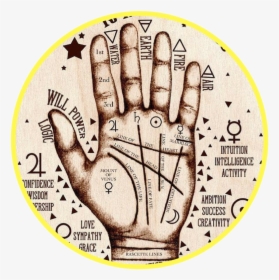 Palm Reading Hand - Harry Potter Palm Reading, HD Png Download, Transparent PNG