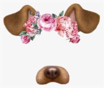 #filter #snapchat #dog #tumblr #flores - Dog Snapchat Png, Transparent Png, Transparent PNG