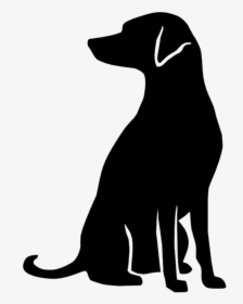 Hd Free Unlimited Download - Dog Catches Something, HD Png Download, Transparent PNG