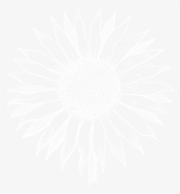 Los Girasoles Ranch - Common Sunflower, HD Png Download, Transparent PNG