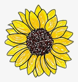 #girasol - Easy Drawings Of Sunflowers, HD Png Download, Transparent PNG