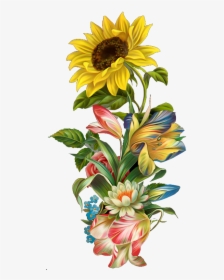 Sun Flower Art, HD Png Download, Transparent PNG
