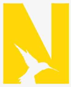 Hummingbird, HD Png Download, Transparent PNG
