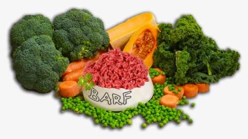 100% Raw Natural Diet For Your Best Friend - Broccoli, HD Png Download, Transparent PNG