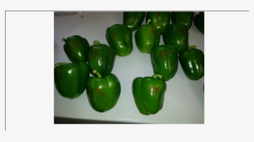 Green Bell Pepper, HD Png Download, Transparent PNG