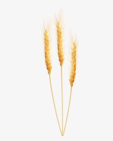 Grain Clip Art - Wheat Clipart Png, Transparent Png, Transparent PNG