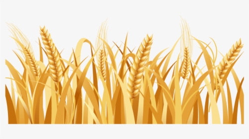 Svg Freeuse Library Barley Vector Head - Wheat Field Vector Png, Transparent Png, Transparent PNG