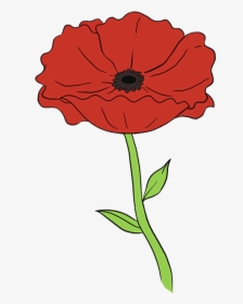 How To Draw Poppy - Step How To Draw Flowers, HD Png Download, Transparent PNG