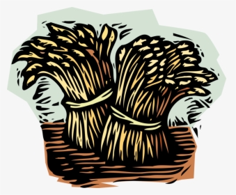 Vector Illustration Of Wheat Sheaves Sheaf Bundles - Sheaves Of Wheat, HD Png Download, Transparent PNG