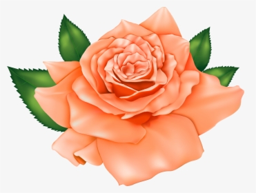 Orange Poppy Flowers - Cute Red Roses Cartoon, HD Png Download, Transparent PNG
