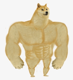 Animal Figure Canidae - Buff Doge, HD Png Download, Transparent PNG