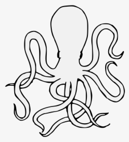 Heraldic Octopus, HD Png Download, Transparent PNG