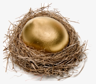 Transparent Birds Nest Clipart - Golden Egg In Nest, HD Png Download, Transparent PNG