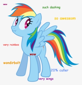 Dashie Doge - - Cullen - What S With The Internet S, HD Png Download, Transparent PNG