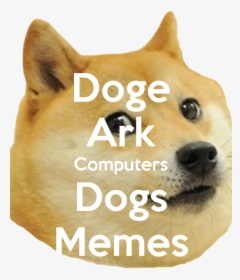 Doge Ark Computers Dogs Memes - Foxhound, HD Png Download, Transparent PNG