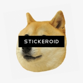 Doge Head Big - Transparent Memes Stickers Whatsapp, HD Png Download, Transparent PNG