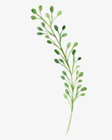 Watercolor Green Flowers Painting Download Free Image - Watercolor Green Flower Png, Transparent Png, Transparent PNG