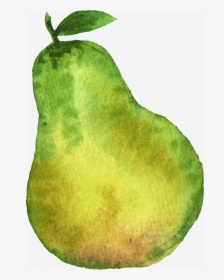 Cuisine, Food, Fruit, Fruits, Pear, Watercolor, Watercolors - Watercolor Pear Transparent, HD Png Download, Transparent PNG
