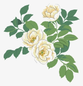 Japanese Camellia Red Watercolor Painting Illustration - Watercolor White Flower Png, Transparent Png, Transparent PNG
