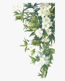 Transparent Watercolour Clipart - White Flowers Png, Png Download, Transparent PNG