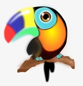 Parrot With Colorful Beak, HD Png Download, Transparent PNG