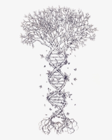 Family Tree Dna Tattoo Family Tree Dna Nucleic Acid - Tree Of Life Double Helix, HD Png Download, Transparent PNG