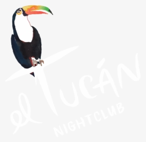 El Tucan Miami Logo Png, Transparent Png, Transparent PNG