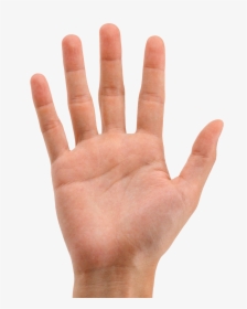 Hands Png, Transparent Png, Transparent PNG