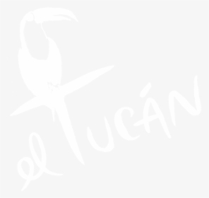 Eltucanmiami - Toucan, HD Png Download, Transparent PNG