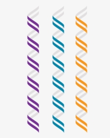 Z Dna Left Handed Double Helix Alternate Geometry Free - Dupla Helice Png, Transparent Png, Transparent PNG