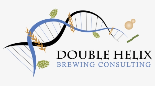Double Helix Brewing Consulting - Graphic Design, HD Png Download, Transparent PNG
