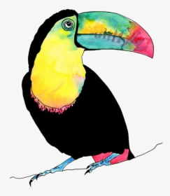 #tucan - Tropical Birds Watercolour, HD Png Download, Transparent PNG