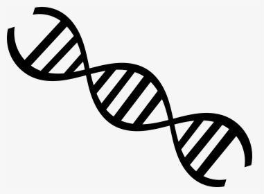 Clip Art Nucleic Acid Double Helix - Dna Strand Black And White, HD Png Download, Transparent PNG