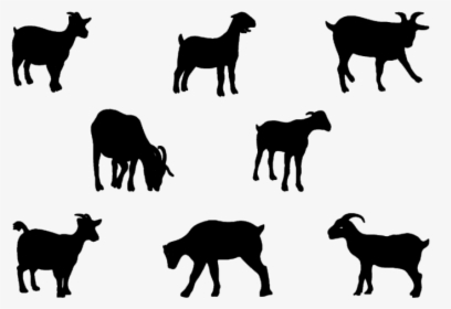 Boer Goat Pygmy Goat Nigerian Dwarf Goat Anglo-nubian - Baby Goat Clipart Black And White Silhouette, HD Png Download, Transparent PNG