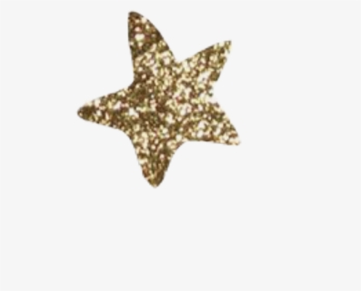 #star #stars #gold #glitter #sticker #edit #goldglitter - Marine Invertebrates, HD Png Download, Transparent PNG