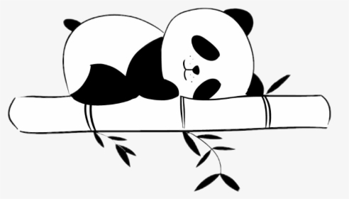 Transparent Bambus Clipart - Panda Clipart Black And White, HD Png Download, Transparent PNG