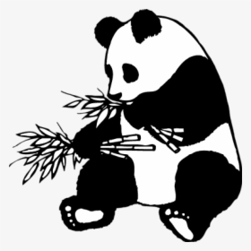 28 Collection Of Panda Clipart Black And White - Panda Clipart Black And White, HD Png Download, Transparent PNG