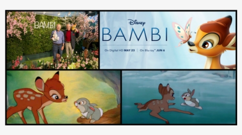 The Young Voices Of Bambi And Thumper - Cartoon, HD Png Download, Transparent PNG