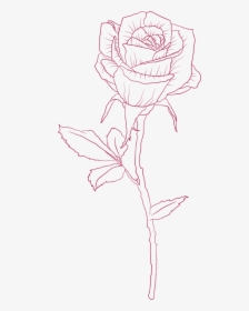 Sketch, HD Png Download, Transparent PNG