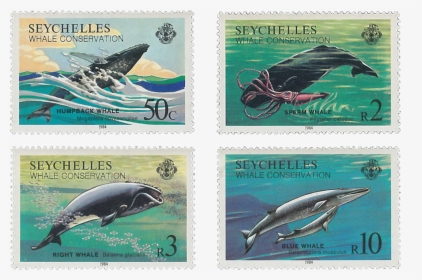 Hector Dolphin Post Stamp, HD Png Download, Transparent PNG