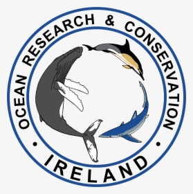 Ocean Pollution Ireland Organizations, HD Png Download, Transparent PNG