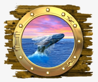 Cetacean Surfacing Behaviour, HD Png Download, Transparent PNG