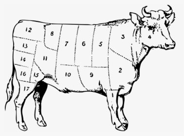 Cow, Beef, Cuts, Numbered, Symbol, Meat, Parts, Cattle - Ox Clip Art, HD Png Download, Transparent PNG