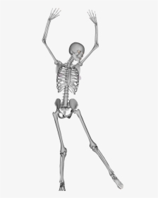 Transparent Bones Skeleton Dance, HD Png Download, Transparent PNG