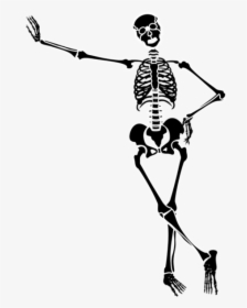 28 Collection Of Halloween Dancing Skeleton Clipart - Skeleton Clipart Png, Transparent Png, Transparent PNG