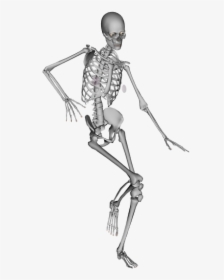 Adelle Brownlee Brewer Page - Solo Dancing Skeleton Drawing, HD Png Download, Transparent PNG
