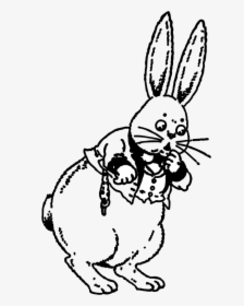 Cartoon, HD Png Download, Transparent PNG